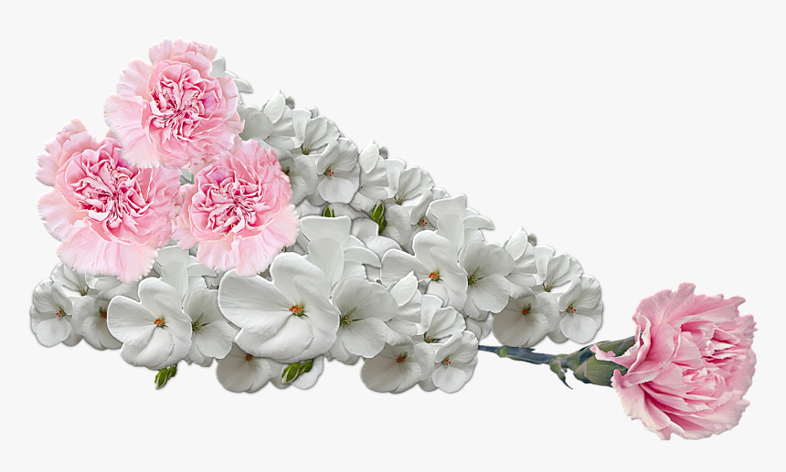 Flowers Composition Png, Transparent Png