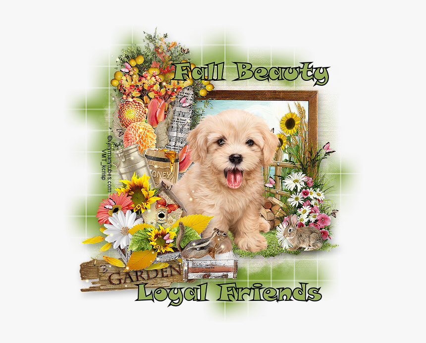 Wooden Stove, HD Png Download