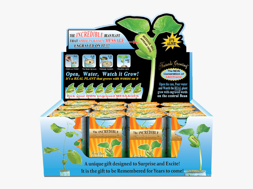 Friends Forever Magic Plant - Grow Your Own Magic Bean, HD Png Download