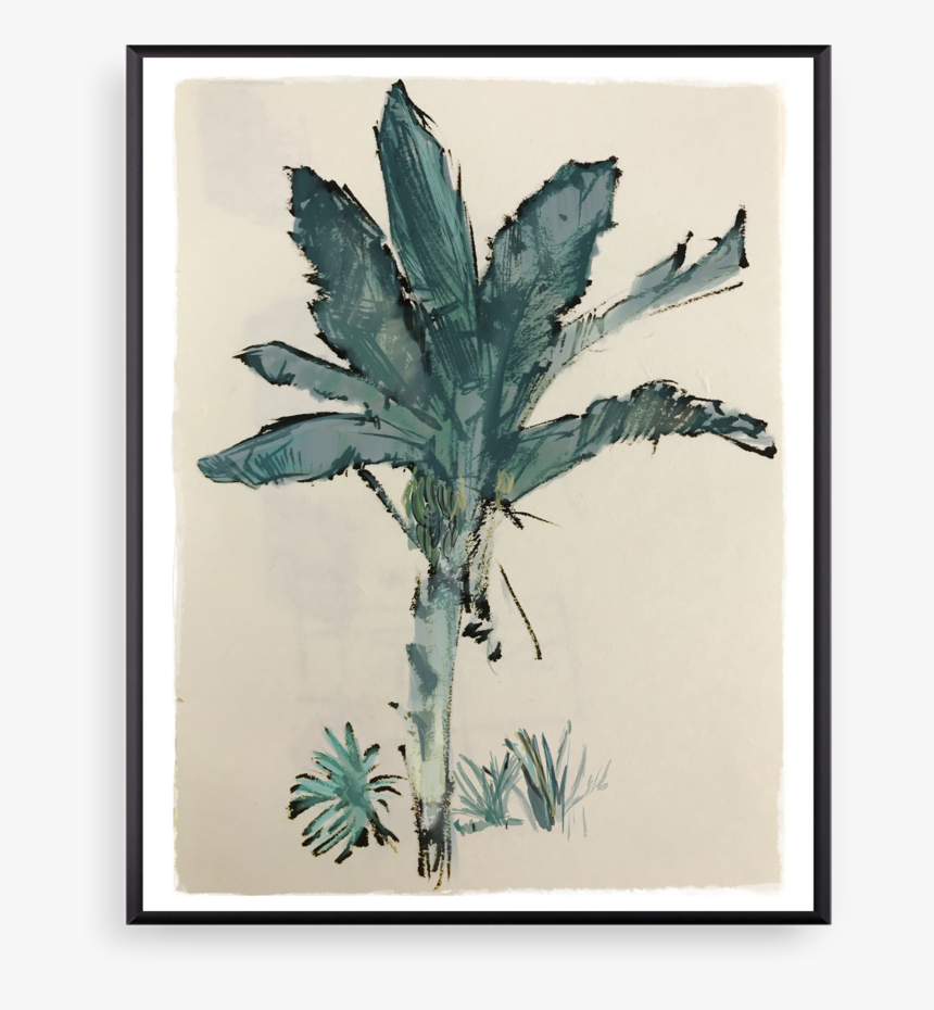 Banana Tree Rylander Co - Visual Arts, HD Png Download