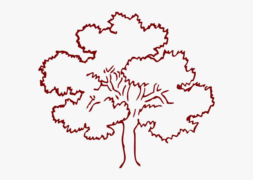 Brown Oak Tree Svg Clip Arts - Outline Pictures Of Tree, HD Png Download
