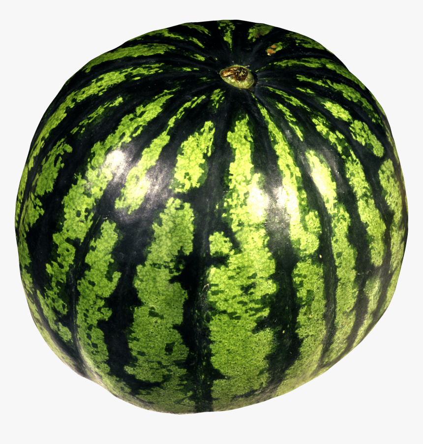 Download Watermelon Png Image Png Image Pngimg - Watermelon Png, Transparent Png