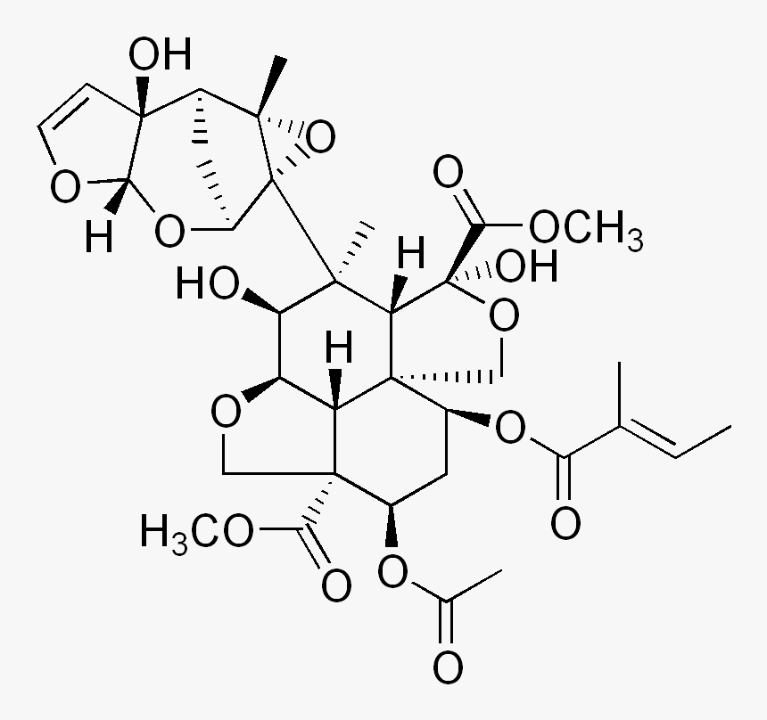 Azadirachtin - Azadirachta Indica Chemical Structure, HD Png Download