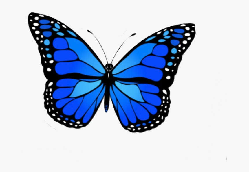 Butterfly Design, HD Png Download