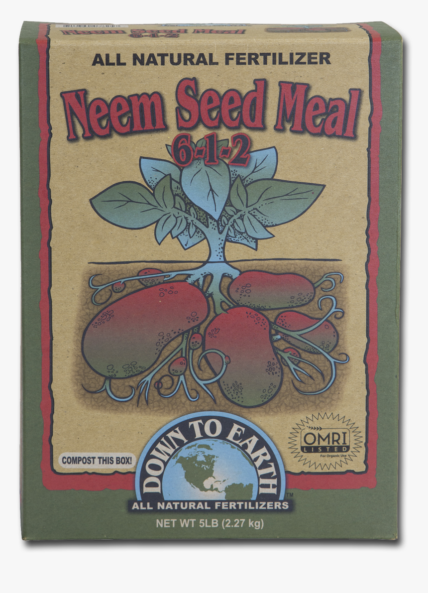 Lily, HD Png Download