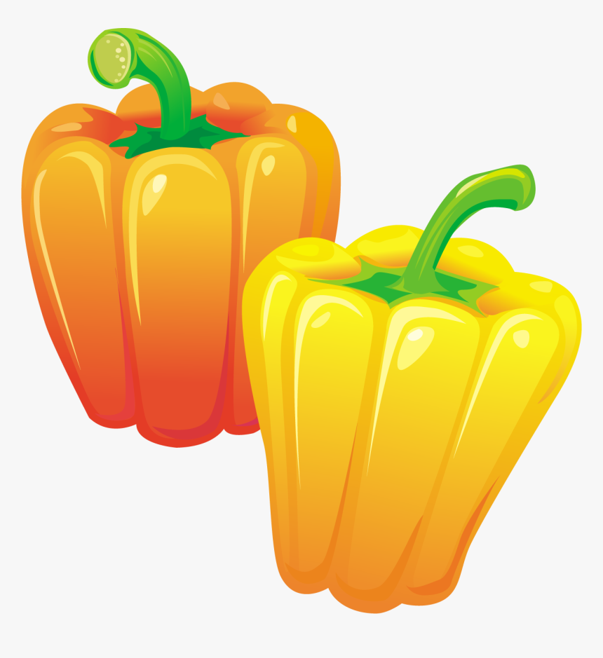 Vector, HD Png Download