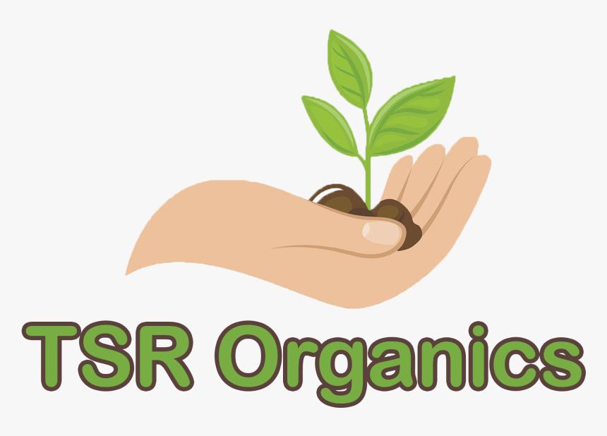 Logo - Illustration, HD Png Download