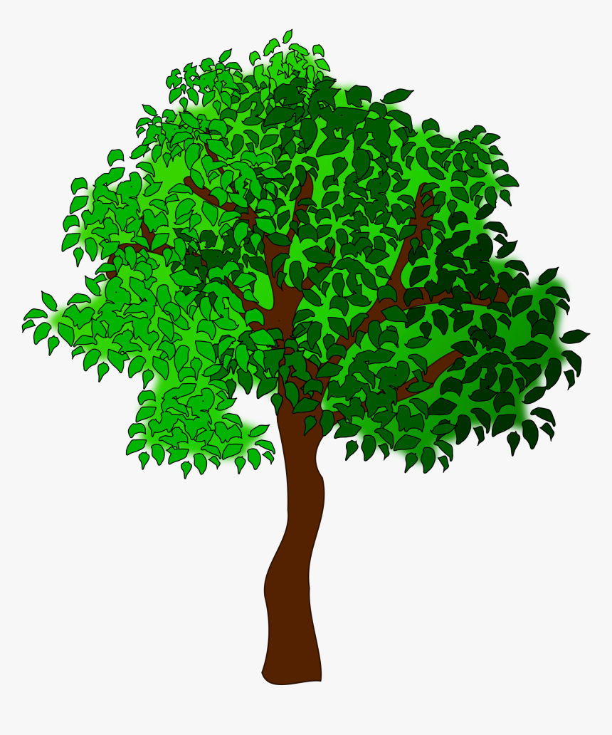 Clip Art Free Images Of Trees - Clipart Trees, HD Png Download