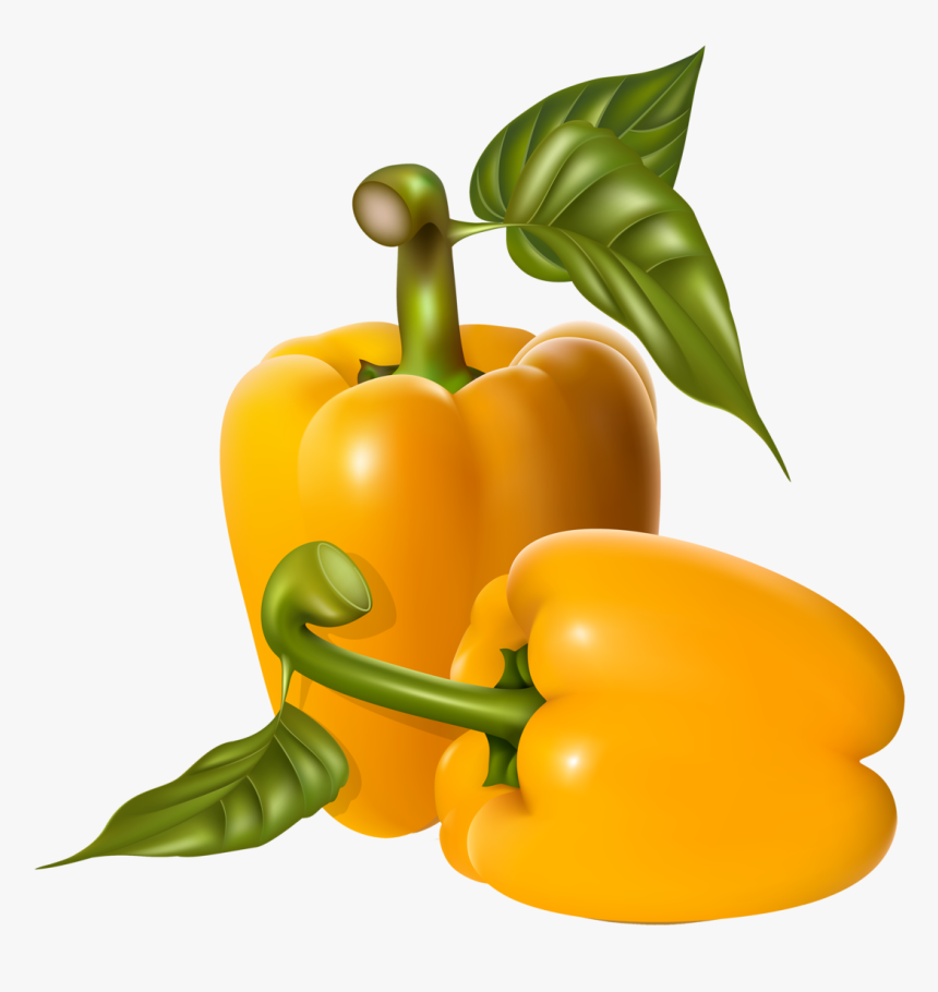Peppers - Fresh Vegetable Vector Png, Transparent Png