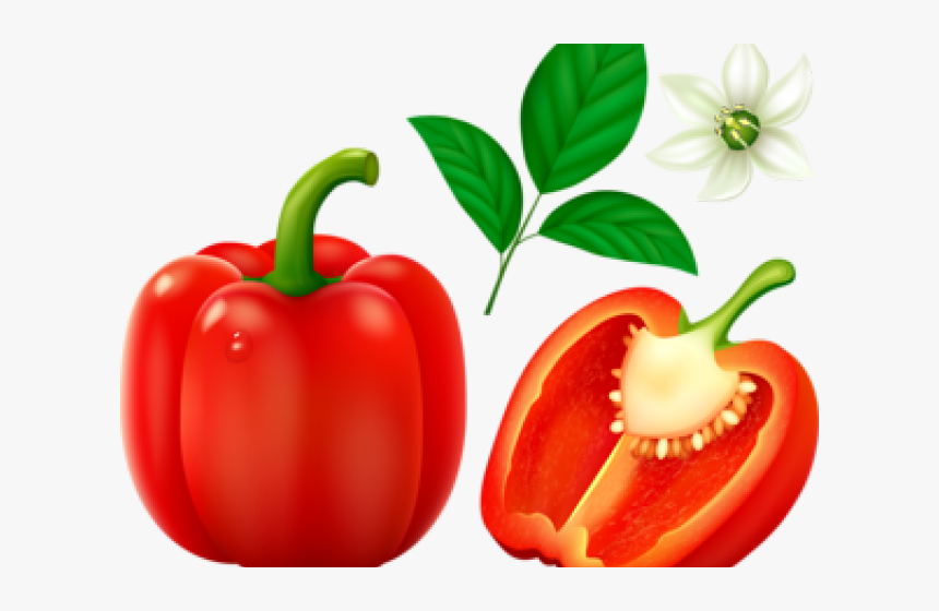 Pepper Clipart Different Kind Fruit - Green Bell Pepper Clipart, HD Png Download