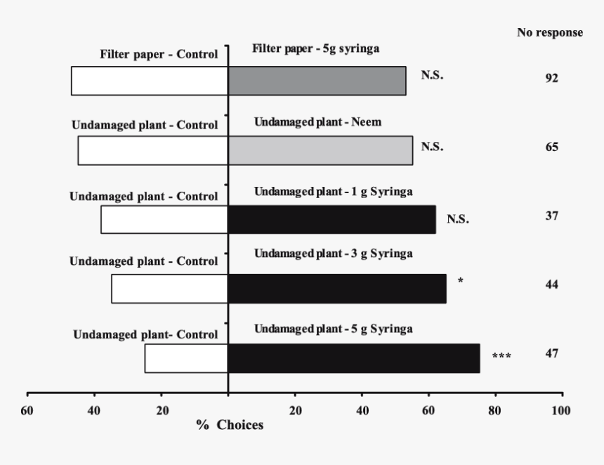 Number, HD Png Download