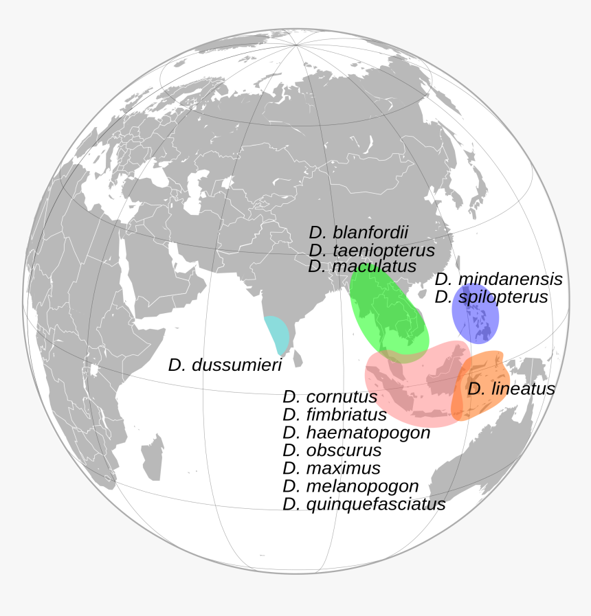 World Map India Globe , Png Download - Mount Everest On Globe, Transparent Png