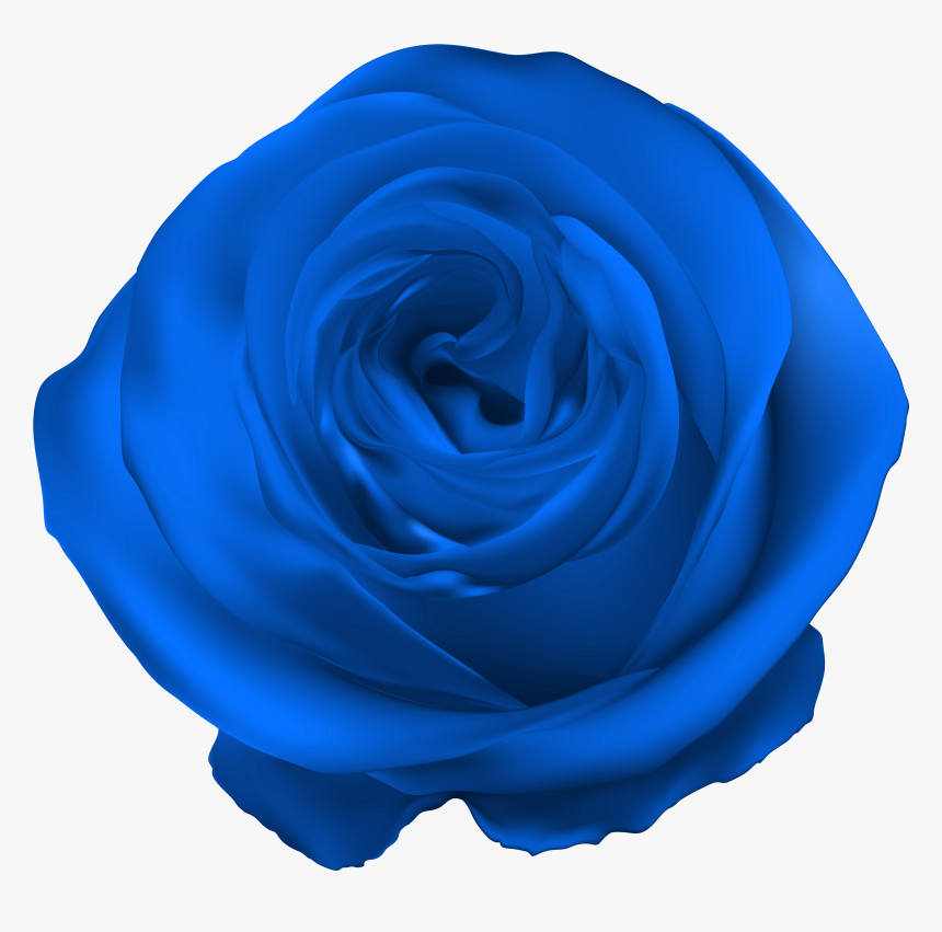 Blue Rose Png Clip Artu200b Gallery Yopriceville - Transparent Purple Rose Png, Png Download