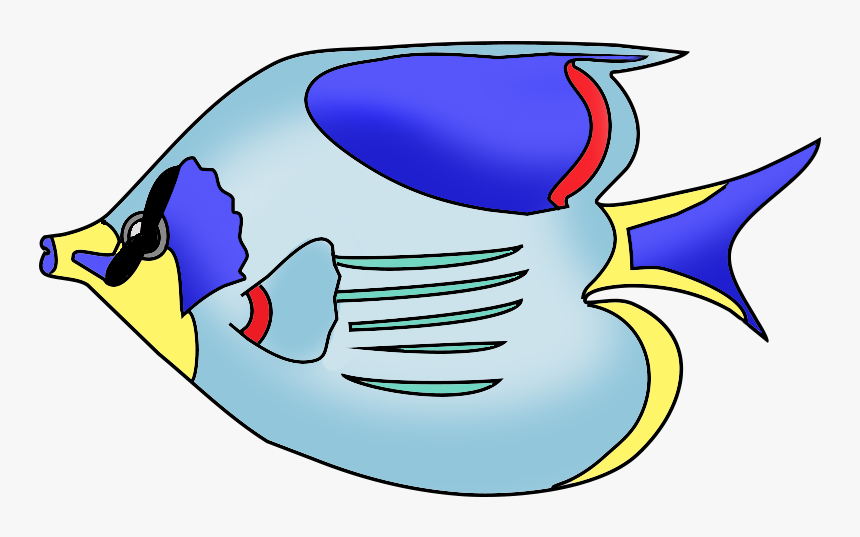 Colorful Tropical Fish - Fish Drawing With Color, HD Png Download