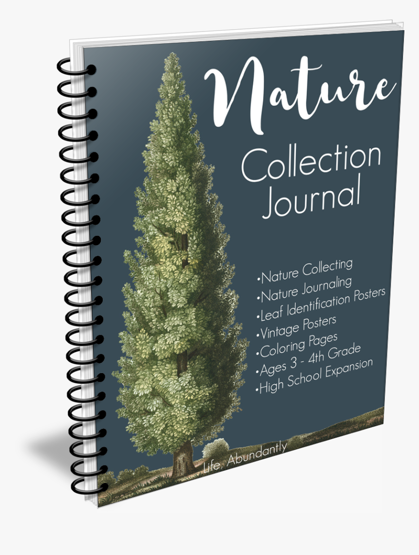 Ringspiralbinder - Led Tv Repair Books, HD Png Download