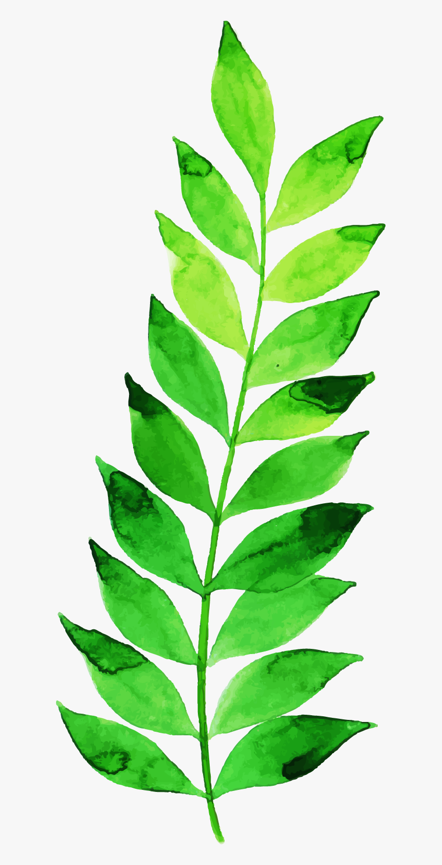 Illustration, HD Png Download