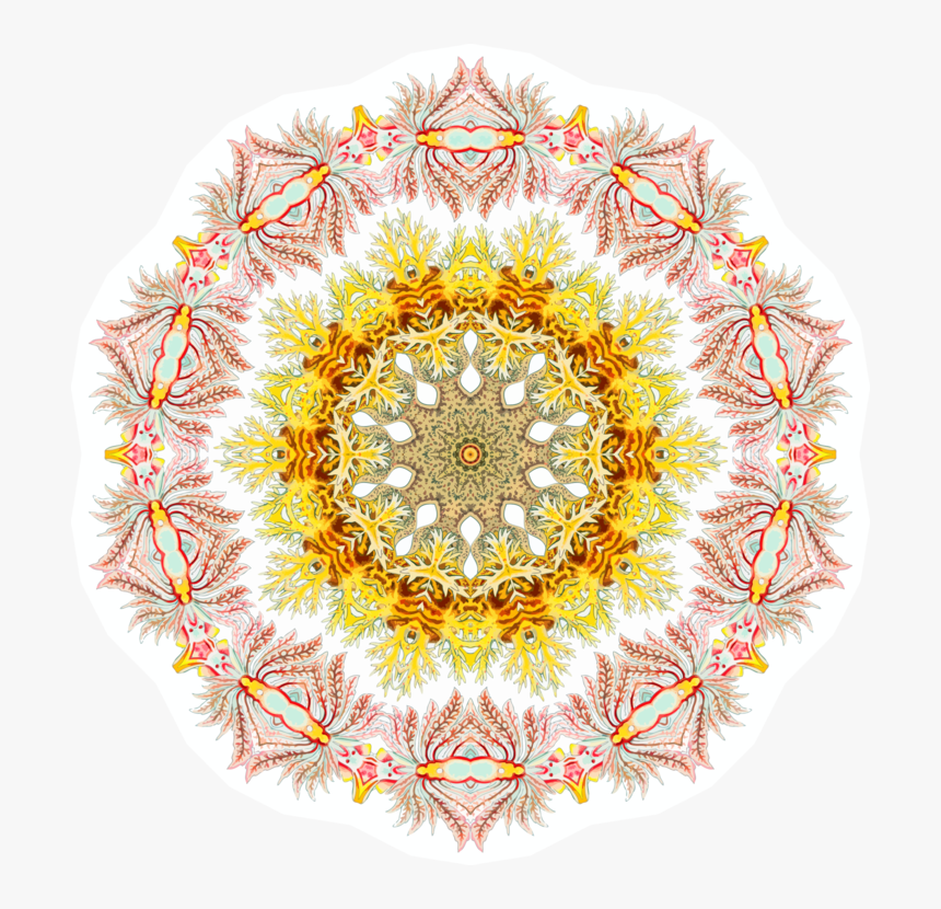 Flower,symmetry,floral Design - National University Logo Png, Transparent Png