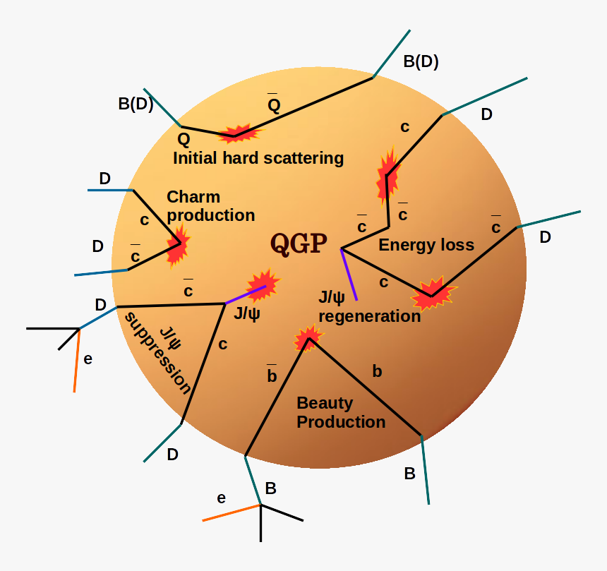 Circle, HD Png Download