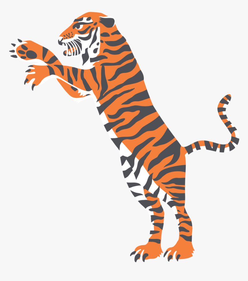 Pataka Strikes A Perfect Balance Between Fiery, Fresh, - Png Patkha, Transparent Png
