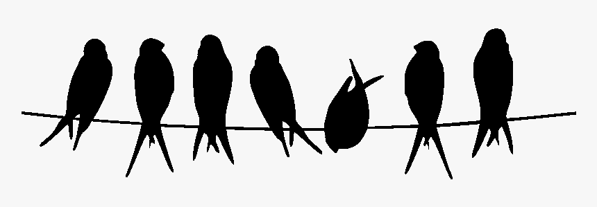 Bird Stencil Silhouette Owl Common Kingfisher - Silhouette Oiseau Sur Fil, HD Png Download