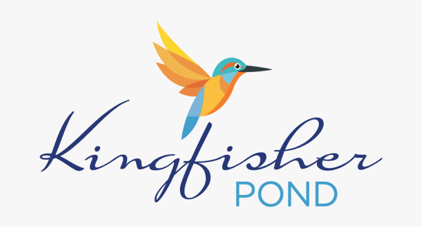 Coraciiformes, HD Png Download