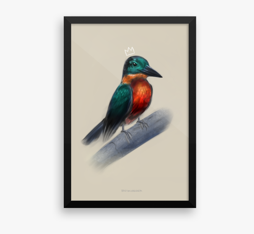 Ruby-throated Hummingbird, HD Png Download