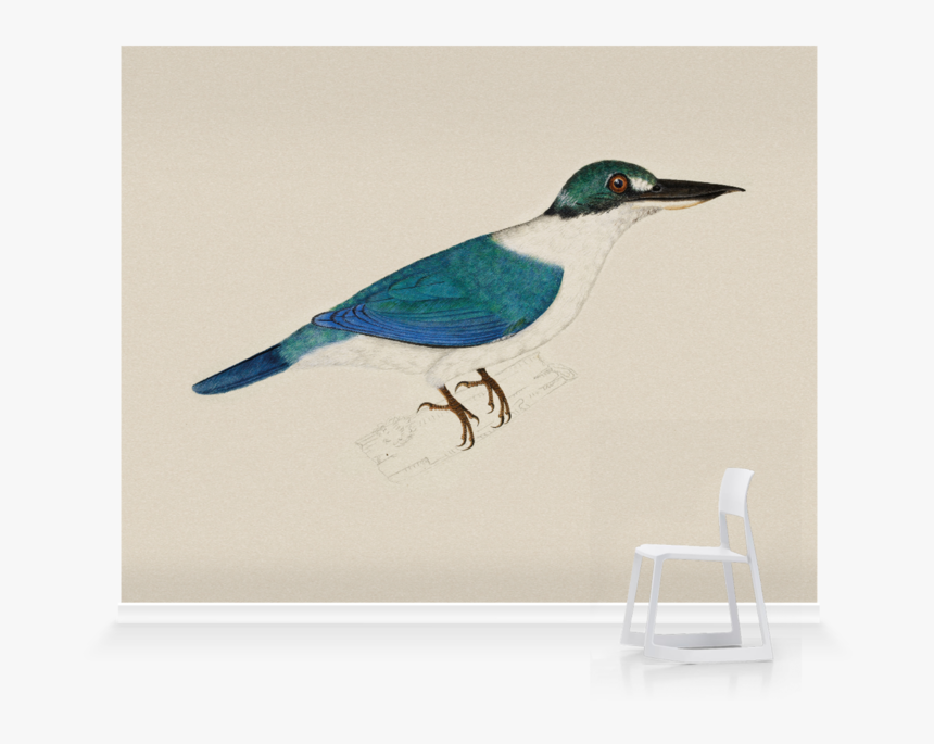 White Collared Kingfisher Sketch, HD Png Download