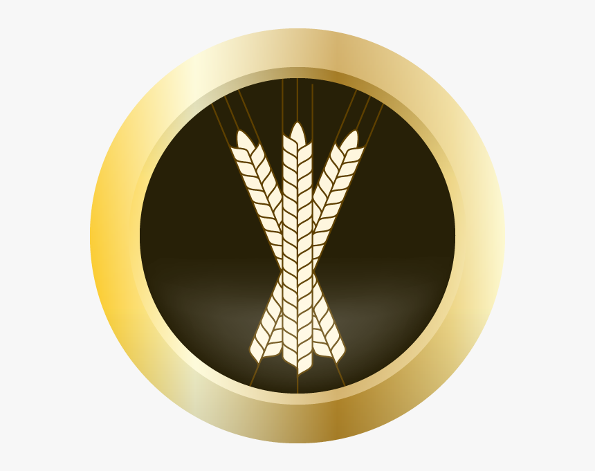 Ahs Gold Seal Dunkelweizen Homebrew Ingredient Kit - Beer, HD Png Download