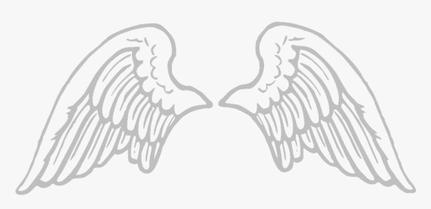 Alas, Ángel, Grandes, Plumas, Propagación, Santa - Transparent Angel Wings Clipart, HD Png Download