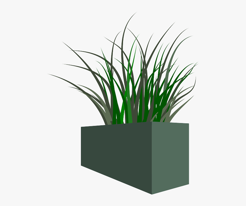 Pot, Grass, Plant, Weeds - Planter Boxes Transparent Background, HD Png Download