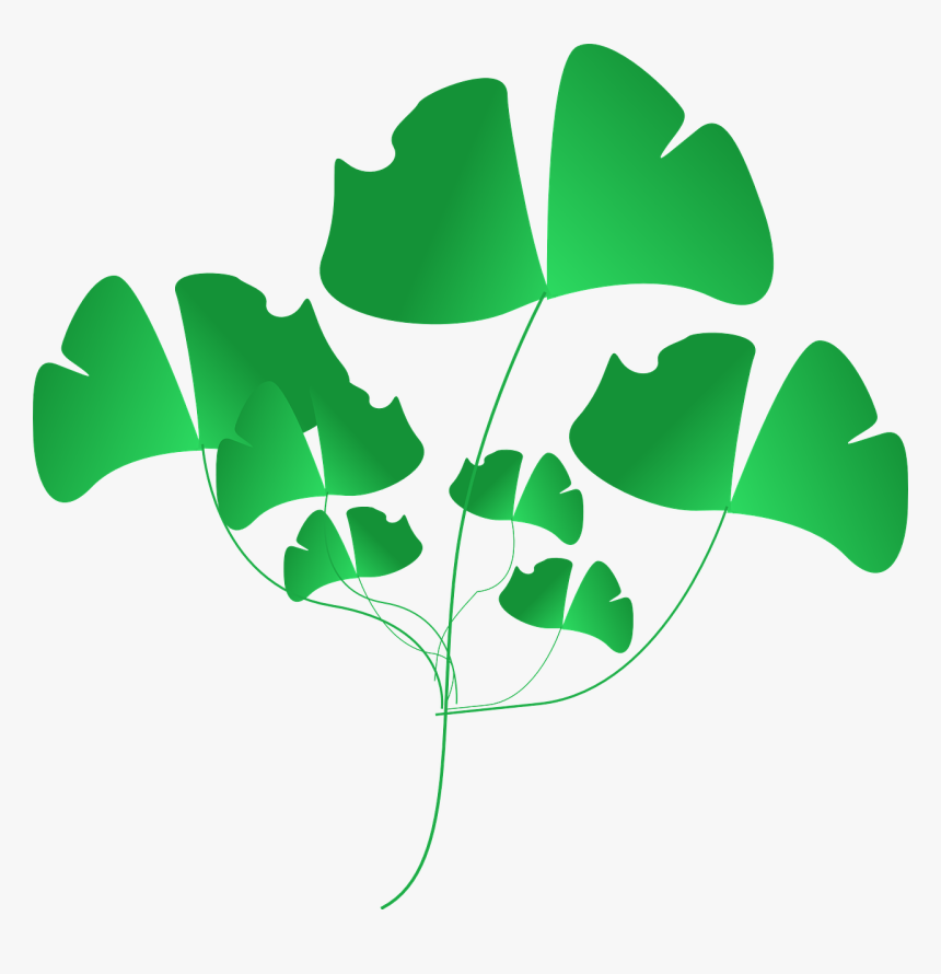 Clip Art, HD Png Download