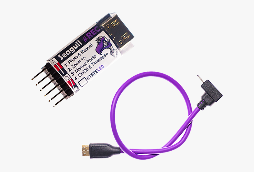 Seagull Rec, HD Png Download