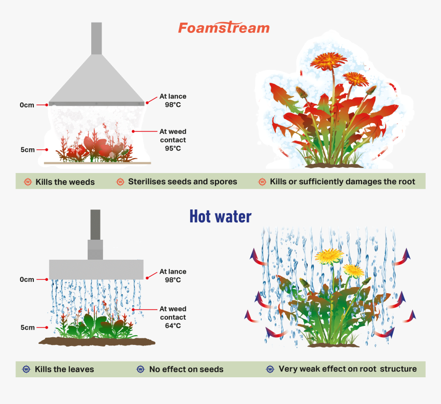 Foamstream, HD Png Download