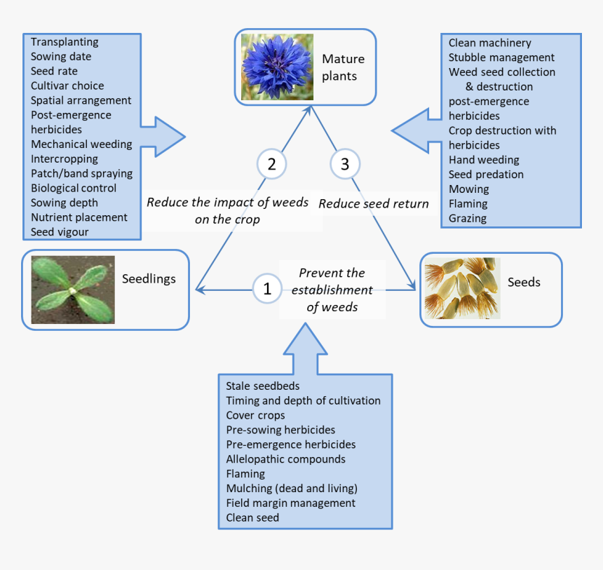 Integrated Weed Management, HD Png Download