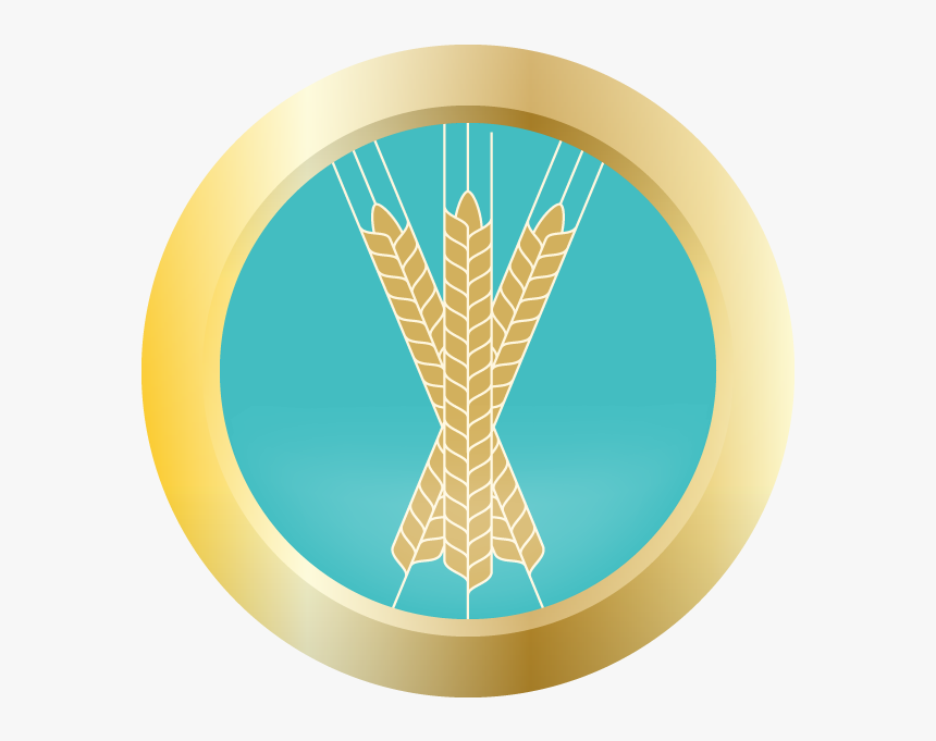 Ahs Gold Seal Blonde Ale Homebrew Ingredient Kit - Circle, HD Png Download
