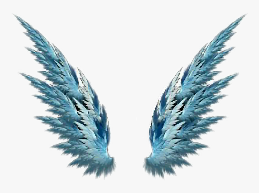 Transparent Wings Of Freedom Png - Angel Wings Tgat Go Up, Png Download