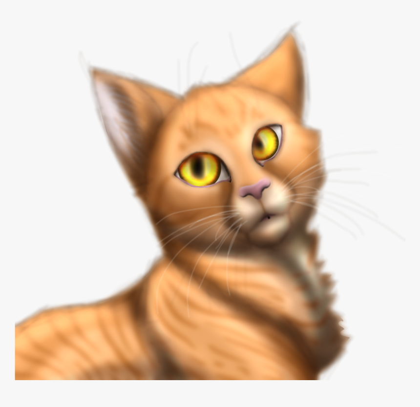 Asian , Png Download - Domestic Short-haired Cat, Transparent Png