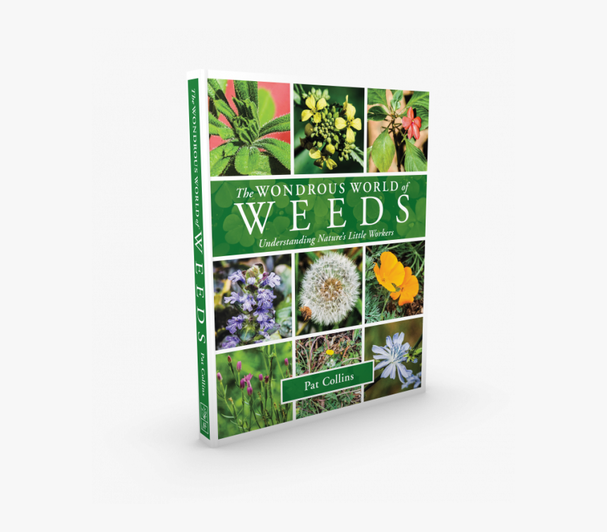 Most Beautiful Weeds In The World, HD Png Download
