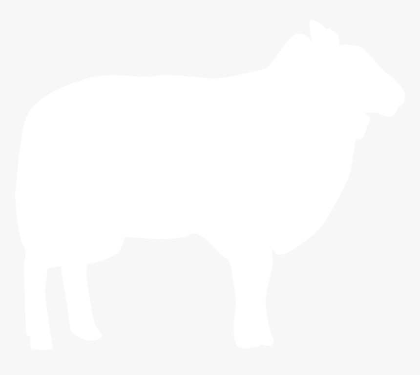 Shark - Sheep, HD Png Download