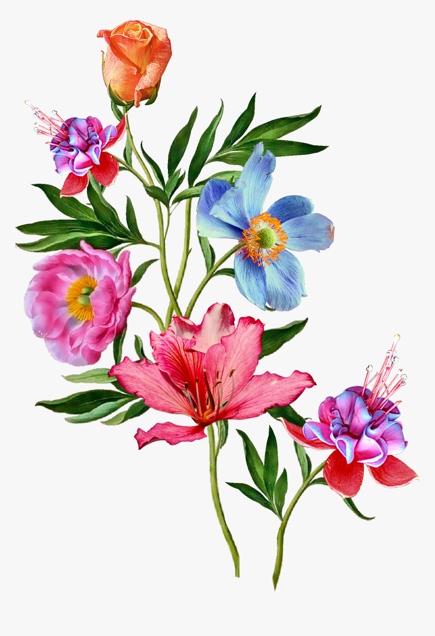 Transparent Lipsense Clipart - Painting Flower Bunch, HD Png Download