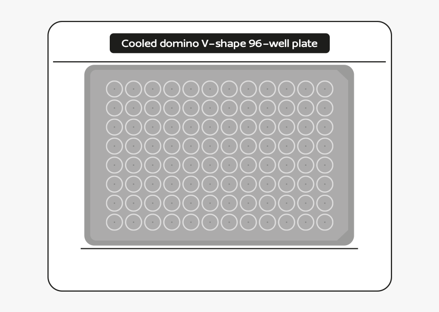 Circle, HD Png Download
