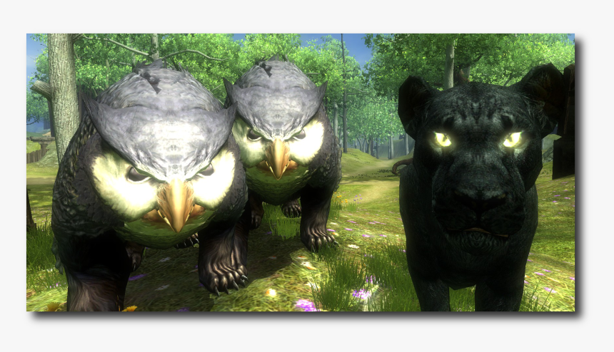 Ddo Owlbear, HD Png Download