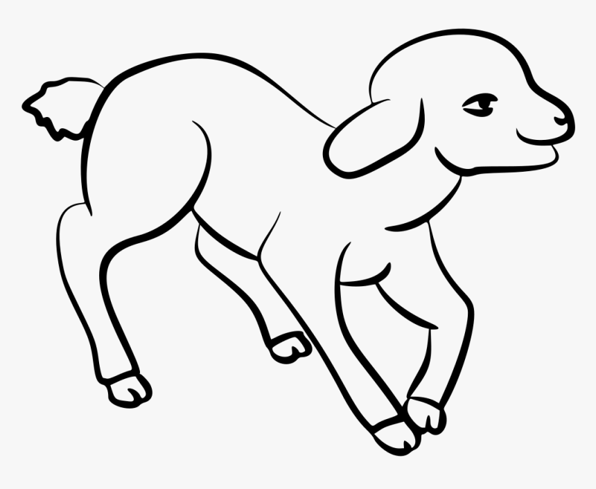 Lamb - Lamb Draw, HD Png Download