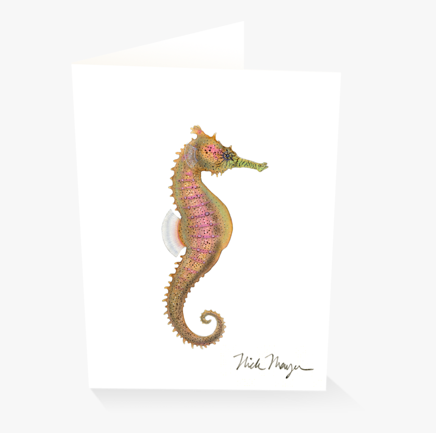 Estuary Seahorse - Northern Seahorse, HD Png Download