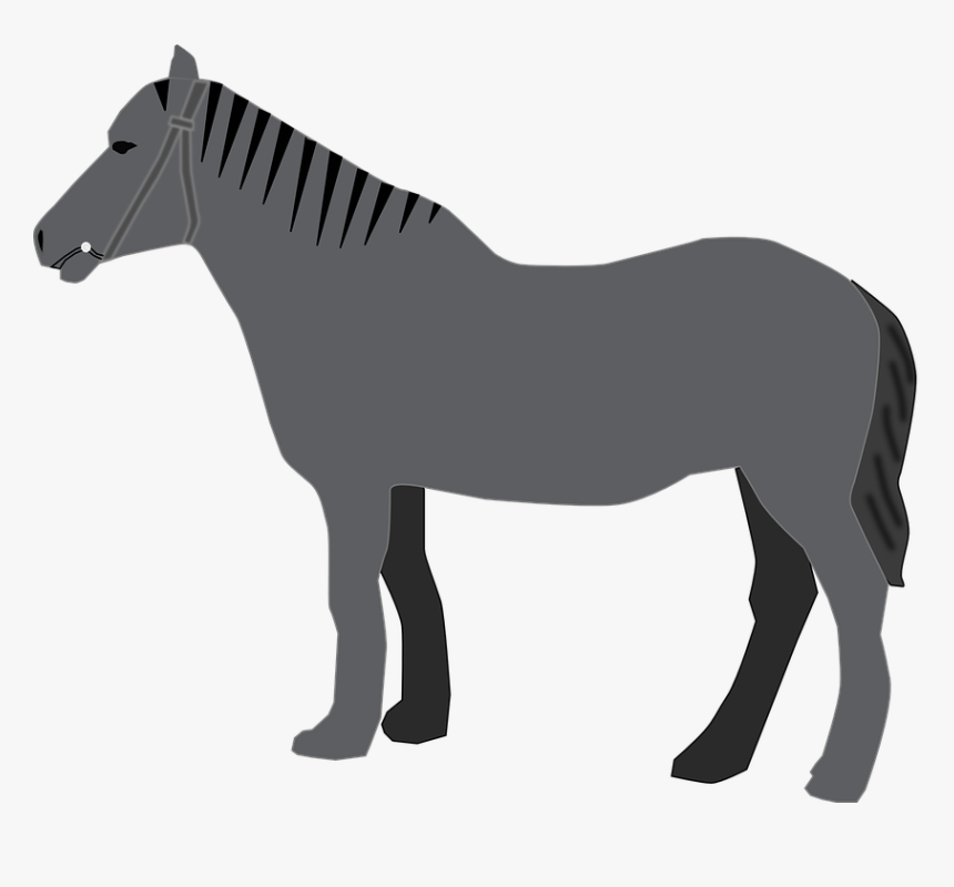 Arabian Horse Standing Silhouette, HD Png Download