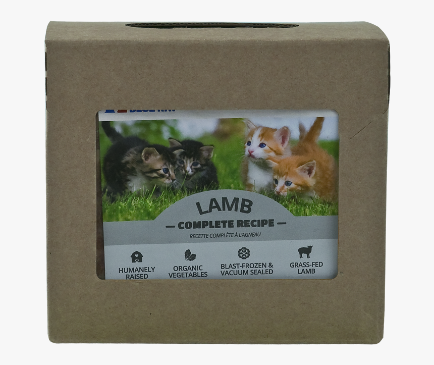 Lambcat14 - Guinea Pig, HD Png Download