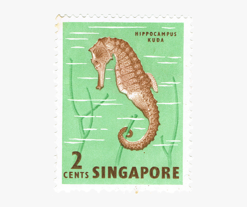Singapore Fish - Singapore Stamps Marine Life, HD Png Download