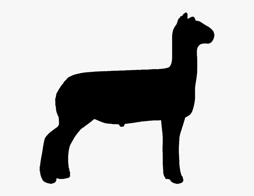 Transparent Lamb Clip Art - Silhouette Show Lamb Clipart, HD Png Download