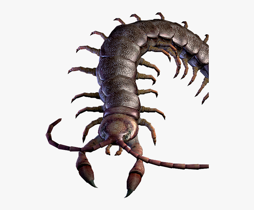Centurion Resident Evil, HD Png Download