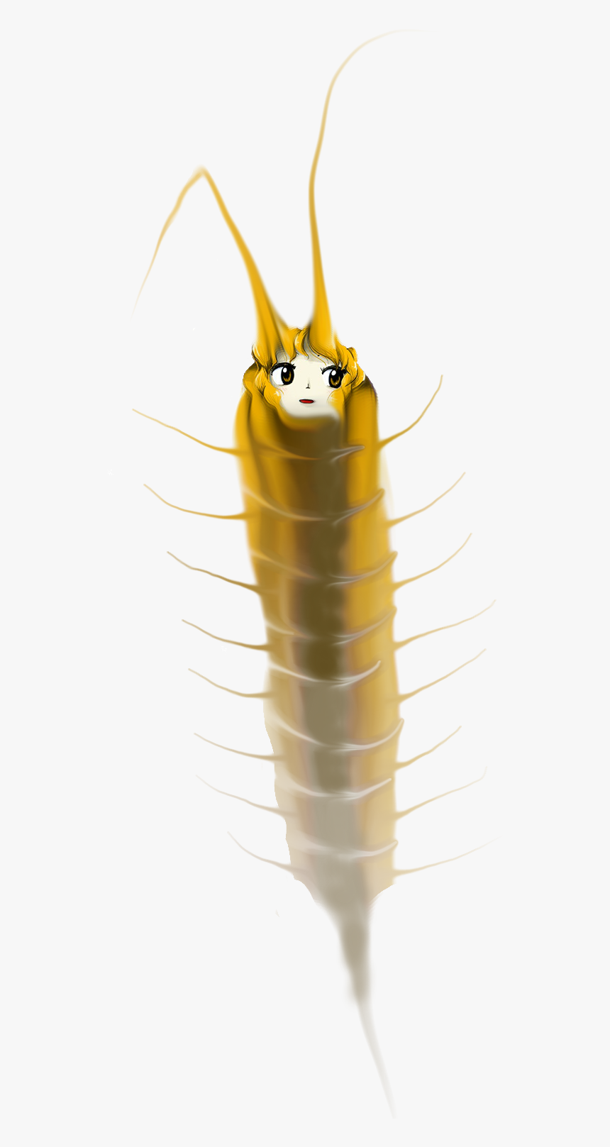 Insect Silverfish Invertebrate - Insect, HD Png Download